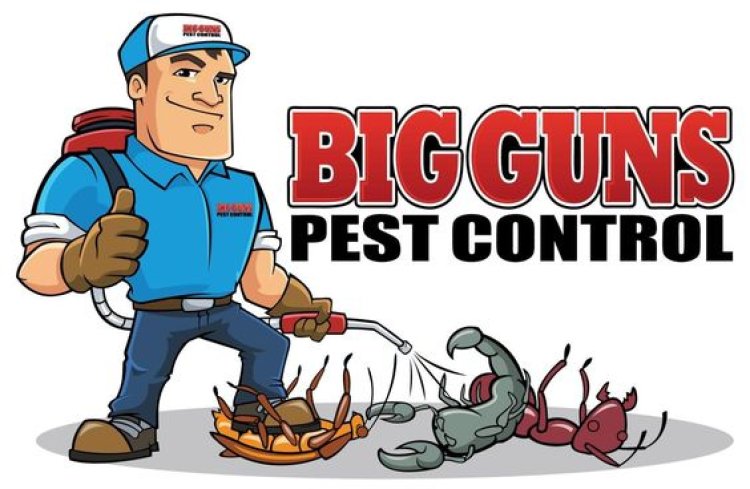 Biological Control of Pests: A Sustainable Approach