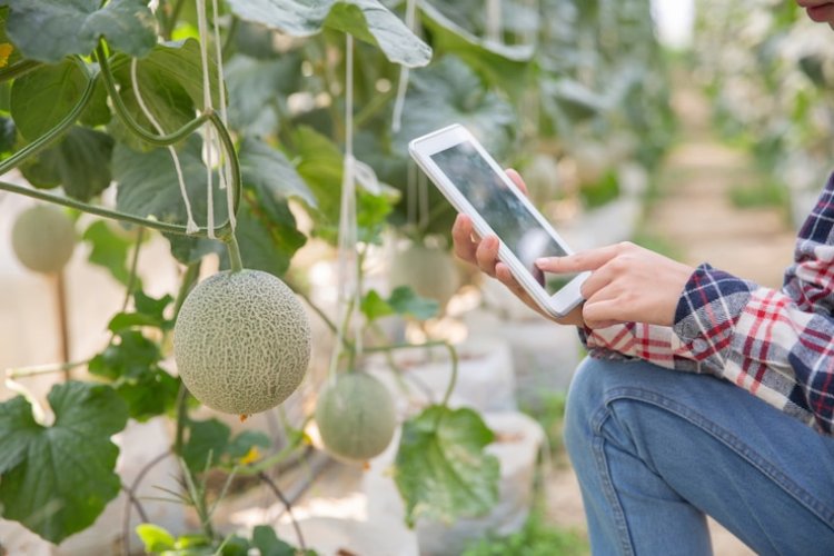 Agriculture Sensor Market Size, Analysis, Overview, Outlook Report 2024-2033