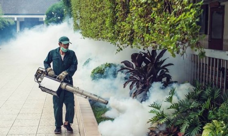 Fumigation Services: Effective Treatment for Bed Bug Bites