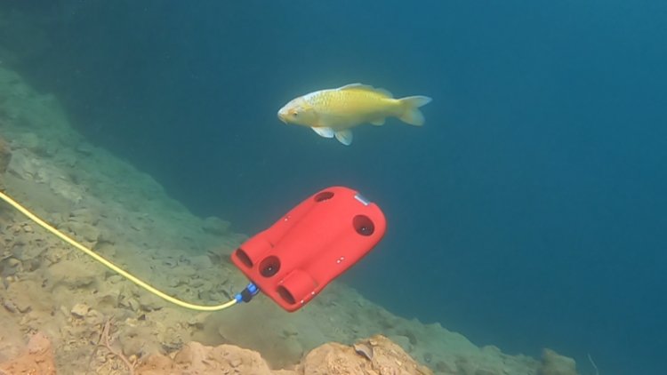 Dive Deep with DIY: Building Your Own Underwater Drone