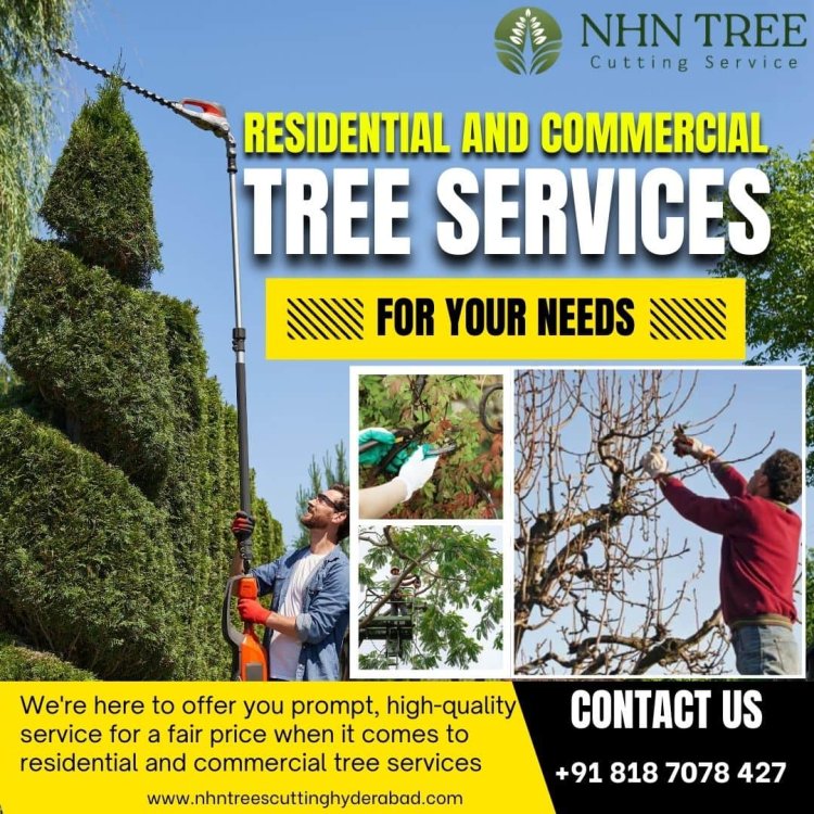 Residential and Commercial Tree Services in Hyderabad | NHN Trees Cutting