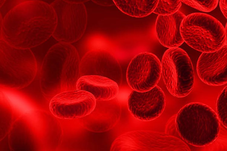 Bleeding Disorders Treatment Global Market to Observe Highest Growth of $23.71 Billion with an Excellent CAGR of 8.9% by 2028