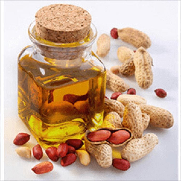 Arachis Oil | Muby Chemicals