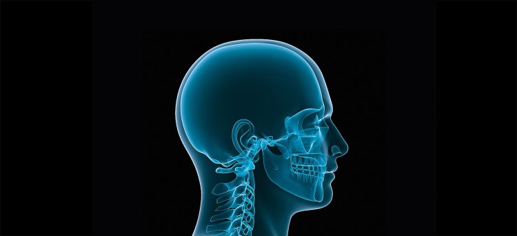 Craniomaxillofacial (CMF) Devices Market Size, Share, Growth and Forecast 2024-2032