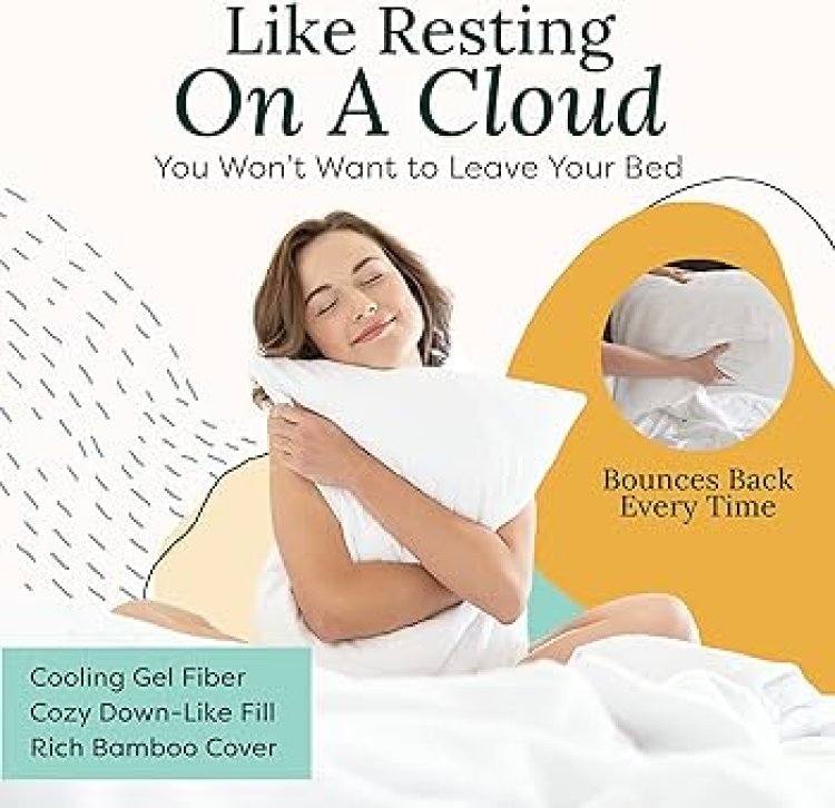 Zen Fluff Sleep Pillow Reviews: What They Don't Tell You