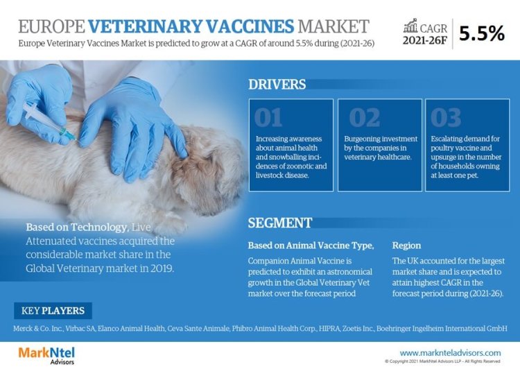 Europe Veterinary Vaccine Market to Observe Prominent CAGR of 5.5% by 2026, Size, Share, Trends, Demand, Growth, Challenges and Competitive Outlook