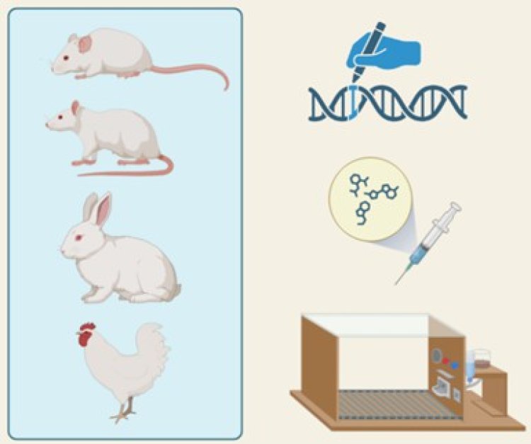 Accelerate Autoimmune Disease Therapy by Animal Model Development