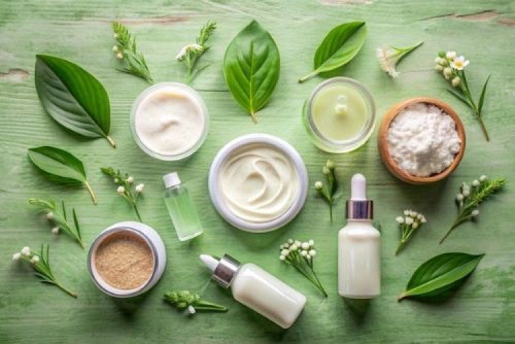 Natural Skin Care Products  Market Expansion 2024-2033: Growth Drivers and Dynamics