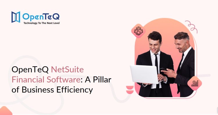 OpenTeQ NetSuite Financial Software: A Pillar of Business Efficiency