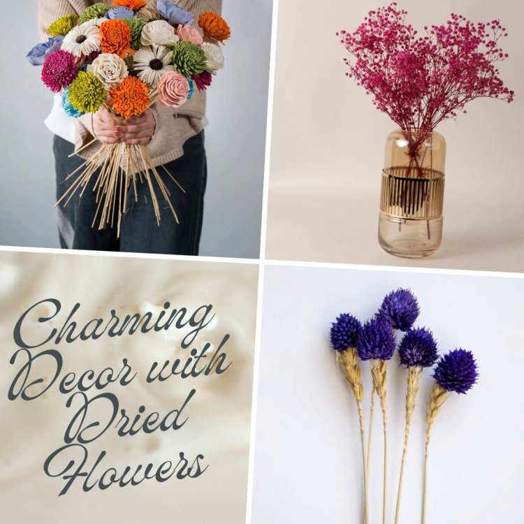 Charming Decor: How Dried Flowers Bring Life to Your Home