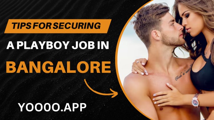 Tips for Securing a Playboy Job in Bangalore