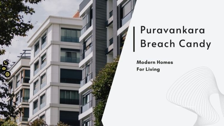 Puravankara Breach Candy | Investing  in The Growth of Mumbai