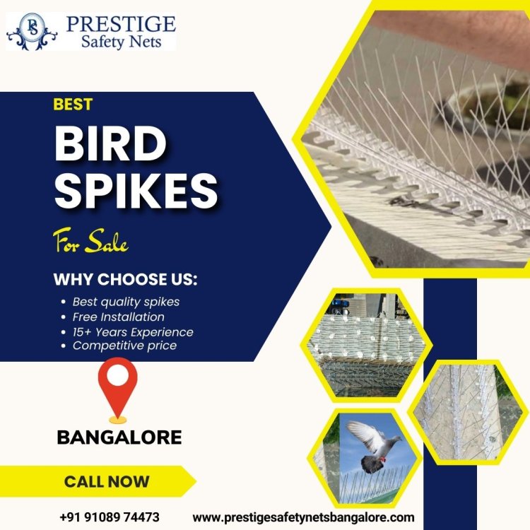 Premium Bird Spikes in Bangalore at Affordable Prices