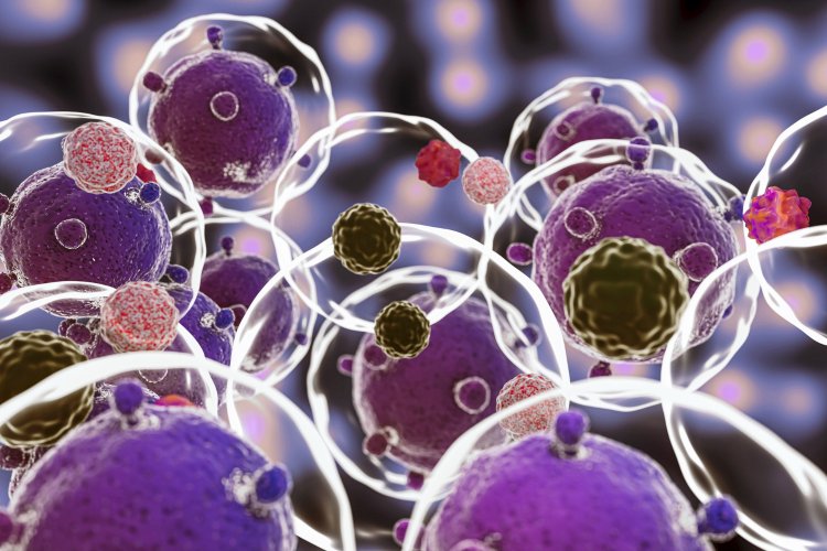 Leukemia Therapeutics Market Growth Rate, Trends And Share Analysis To 2033