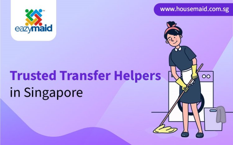 Trusted Transfer Helpers in Singapore