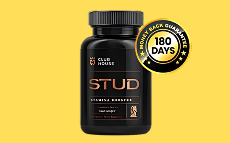 Clubhouse Stud: Clubhouse Stud Supplement Reviews!