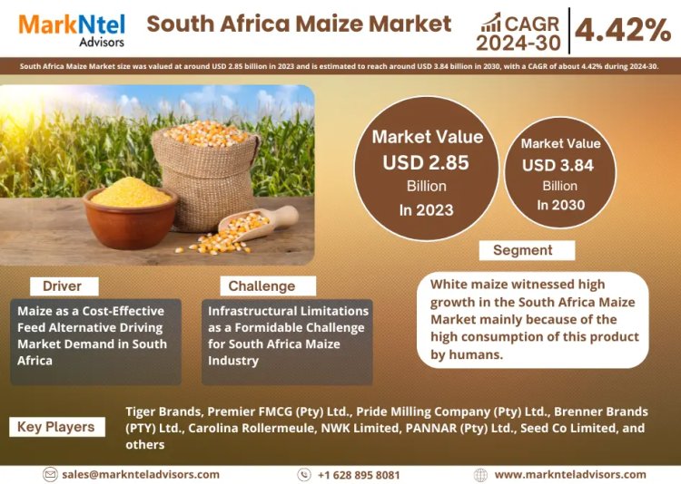 South Africa Maize Market is expected to gain market growth in the forecast period of 2024-2030