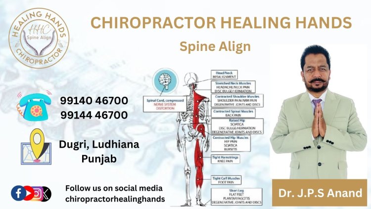 Healing hands Chiropractor | Best Hammer Therapy and Chiropractor in Ludhiana