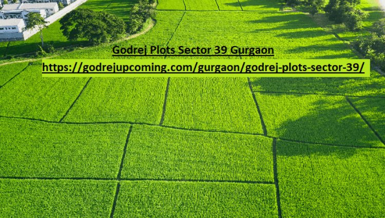 Secure Premium Godrej Plots in Sector 39 Gurgaon – Prime Investment