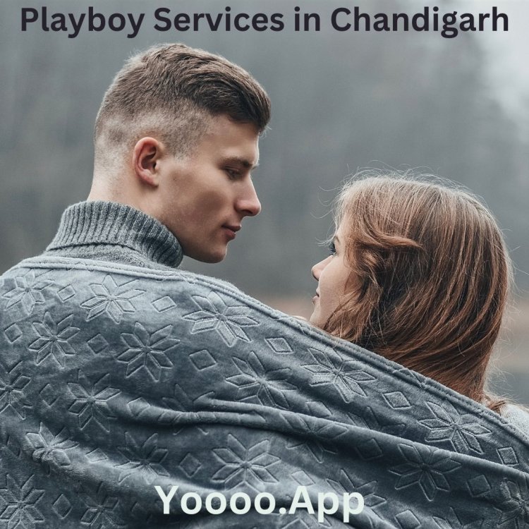 A Guide to Finding Playboy Services in Chandigarh