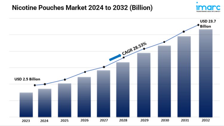 Nicotine Pouches Market Size, Share, Industry Overview, Analysis and Forecast 2024-2032