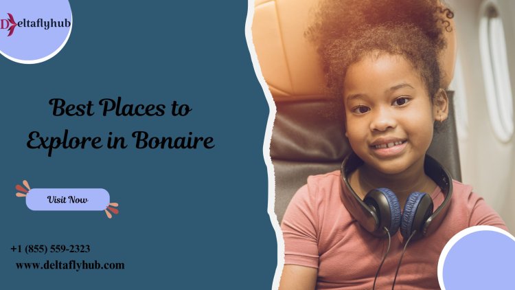 Best Places to Explore in Bonaire