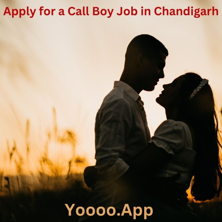 How to Apply for a Call Boy Job in Chandigarh: Easy Guide