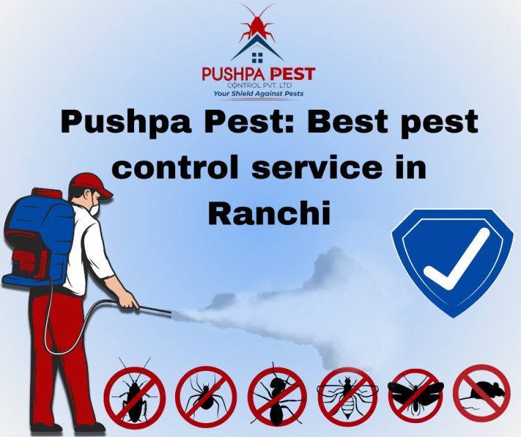 Pushpa Pest : Best Pest Control Service in Ranchi