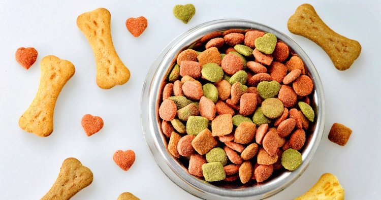 Project Report on Pet Food Manufacturing Plant 2024: Setup and Cost Involved