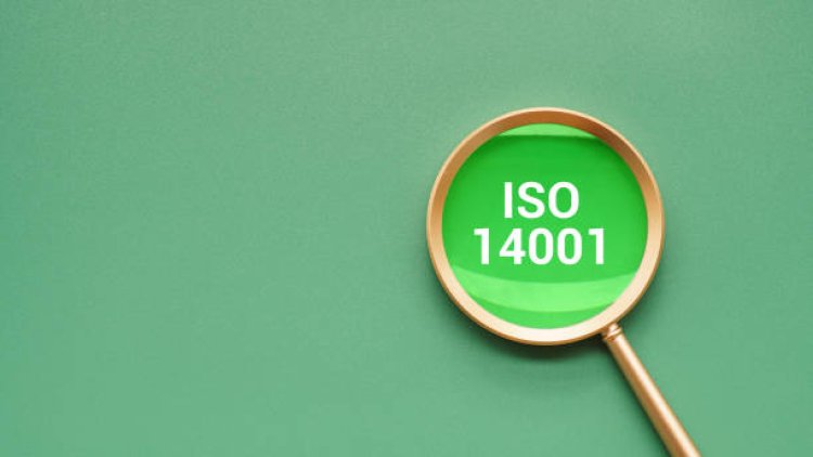 ISO 14001 Certification: Boost Your Green Credentials with Global Standards