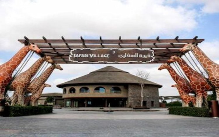 5 Fantastic Reasons to Experience the Thrills of Dubai Safari Park