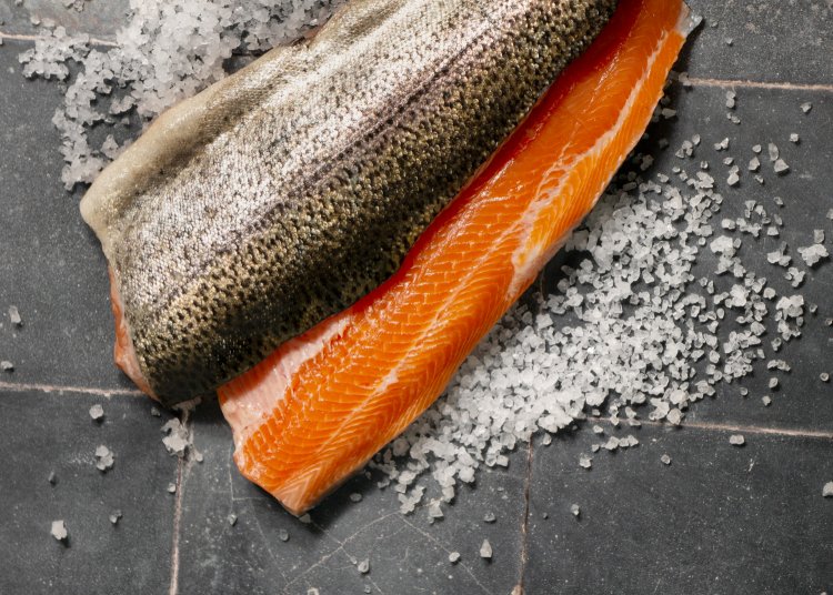 Fishmeal & Fish Oil Market Trends, Size And Forecast To 2024-2033