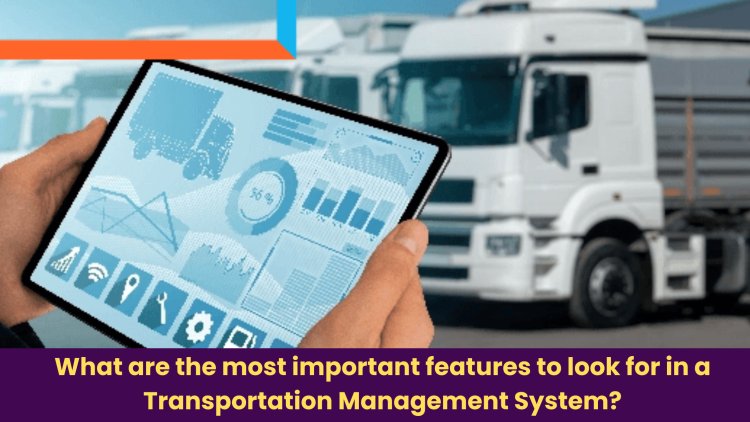 What are the most important features to look for in a Transportation Management System?