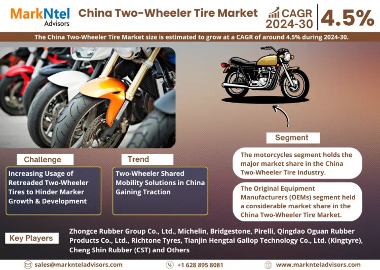 Market Insights: China Two-Wheeler Tire Industry Size, Share, and Growth Forecasts for 2030