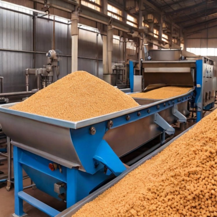 Soya Chunks Manufacturing Plant Project Report 2024: Unit Setup and Raw Materials