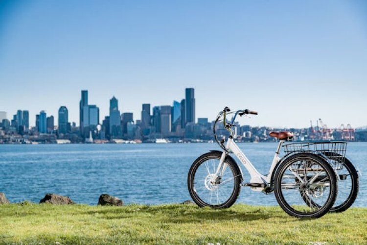 Electric Cargo Bike Market Report 2024 - Electric Cargo Bike Market Trends And Growth