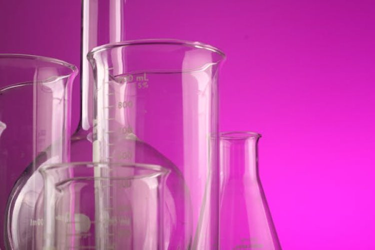 Laboratory Glassware Market Report 2024 - Laboratory Glassware Market Share And Size