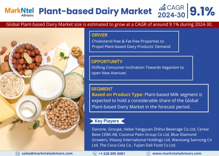 Plant-based Dairy Market Growth Analysis: Key Drivers and Industry Trends from 2024 to 2030