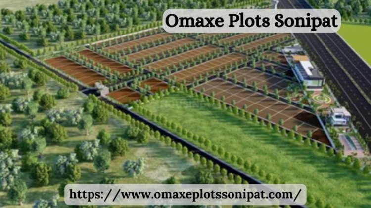 Omaxe Plots Sonipat | Residential Space For Investment