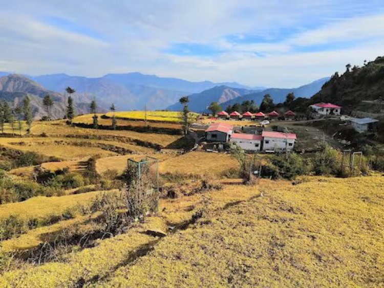 Luxury Hotel in Chakrata: Experience Comfort and Elegance at Anurag Hotel