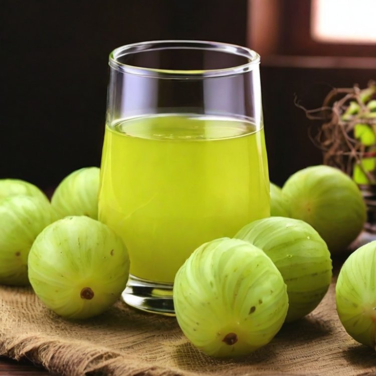 Amla juice Manufacturing Plant Project Report 2024: Industry Trends and Unit Setup