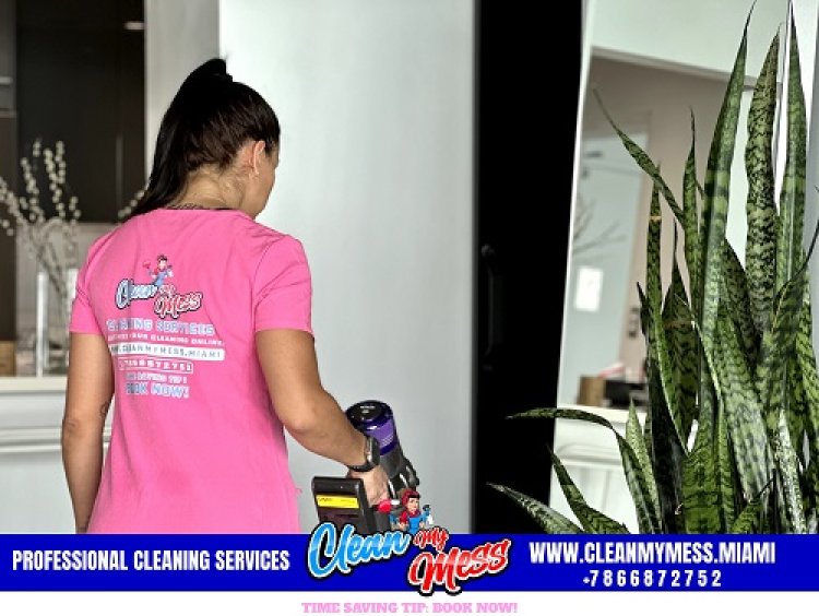 Clean My Mess Cleaning Services