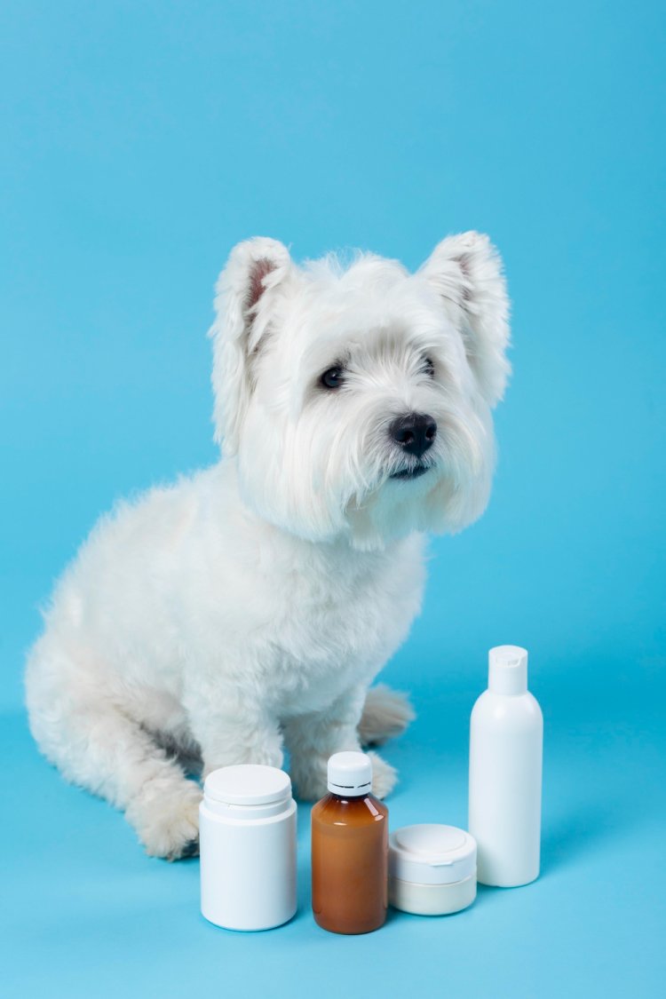 Pet Cosmetics Market Insights, Analysis And Forecast To 2033