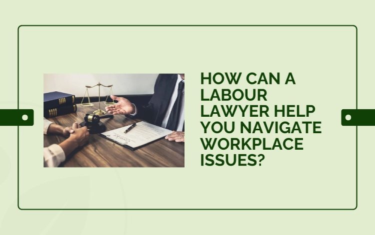 How Can a Labour Lawyer Help You Navigate Workplace Issues?