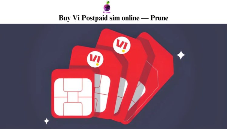 Buy Vi Postpaid sim online — Prune