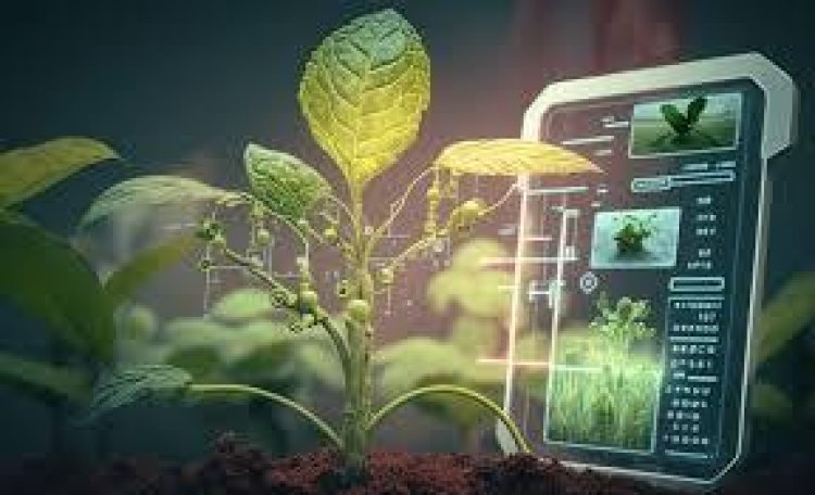 Global Agriculture Analytics Market Size, In-Depth Assessment, CAGR, Demand, and Opportunity Analysis 2030 with Top Countries Data