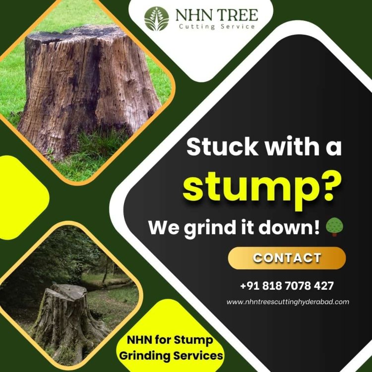 Tree Stump Grinding & Tree Care Services in Hyderabad: NHN Tree Cutting Hyderabad