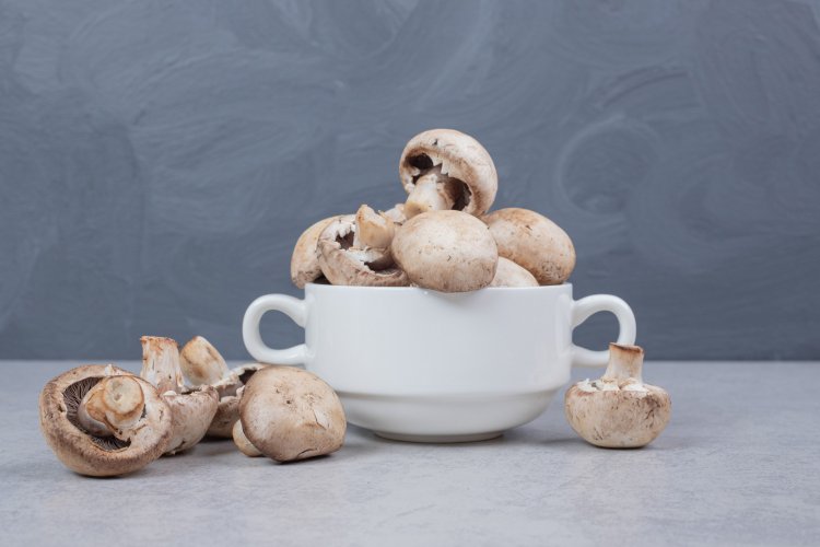 Medicinal Mushroom Market Trends, Analysis And Size Forecast To 2033