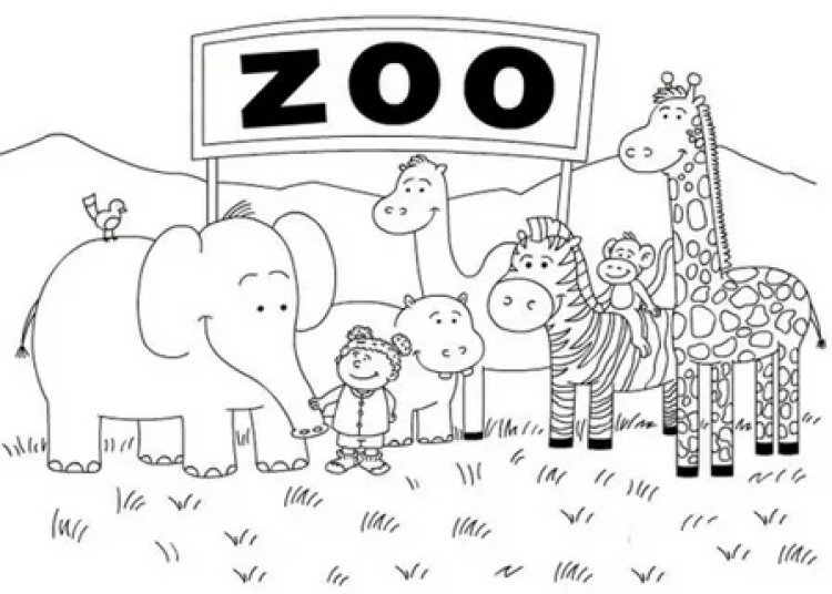 Adorable Zoo Animal Coloring Pages Every Kid Will Love