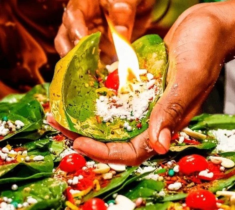 Get Delicious Banarasi Paan Franchise Near Me